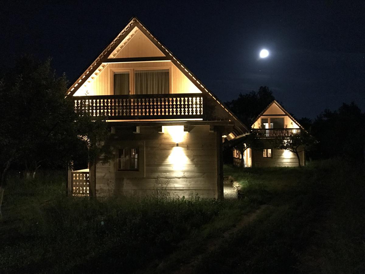 Magnolia Resort Chalets Vişeu de Sus Extérieur photo