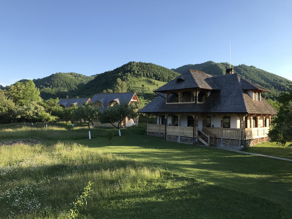 Magnolia Resort Chalets Vişeu de Sus Extérieur photo