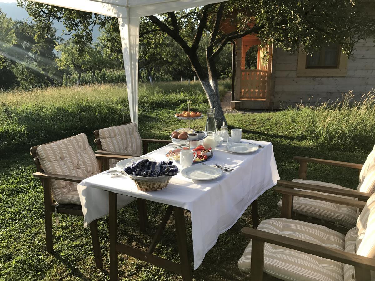Magnolia Resort Chalets Vişeu de Sus Extérieur photo